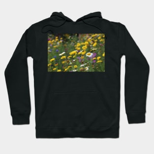 Field of flowers Hoodie